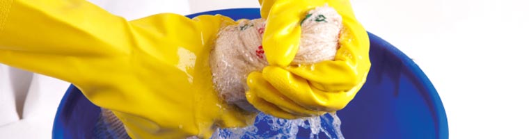 Professional cleaning services